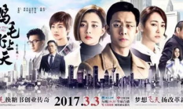 鸡毛飞上天电视剧,创业传奇，家国情怀