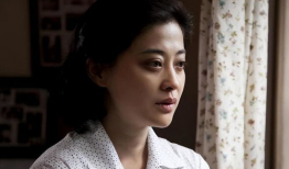 梅婷主演的电视剧,情感纠葛与命运抉择