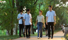 案件电视剧,揭开案件背后的真相