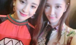 网红和明星的差距,数字时代的身份差异解析