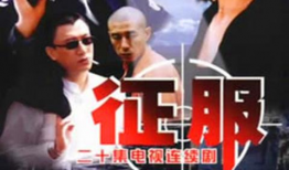 征服电视剧全集,权谋与爱情的巅峰对决