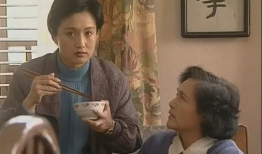 电视剧婆婆,家庭和谐的守护者