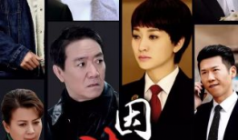 案件电视剧,揭开案件背后的真相